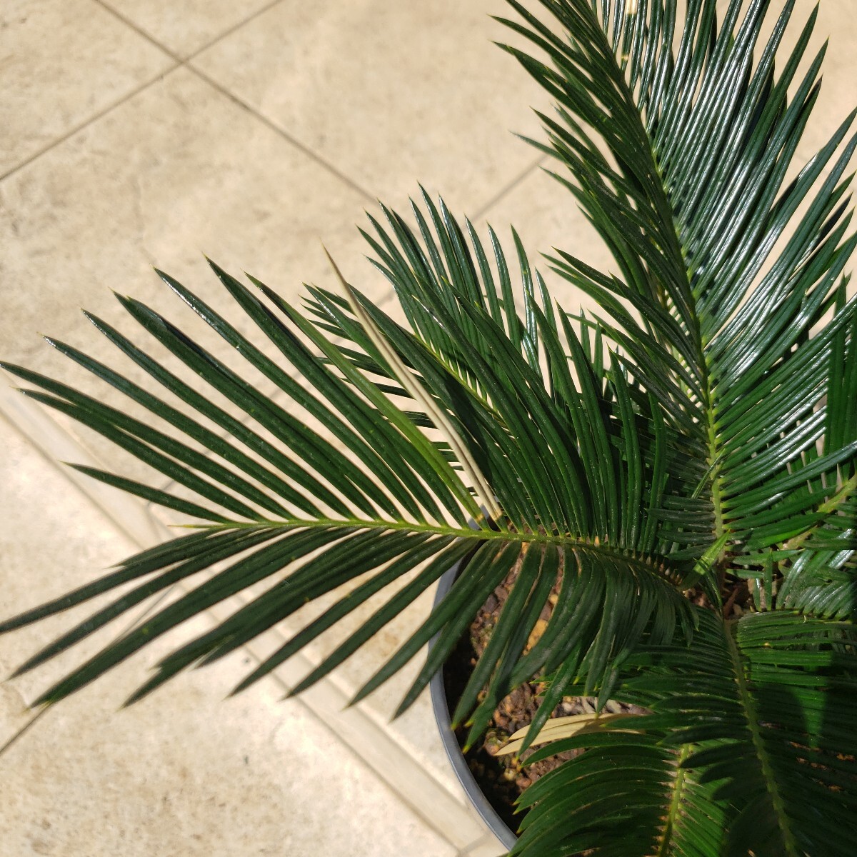 item_image_6