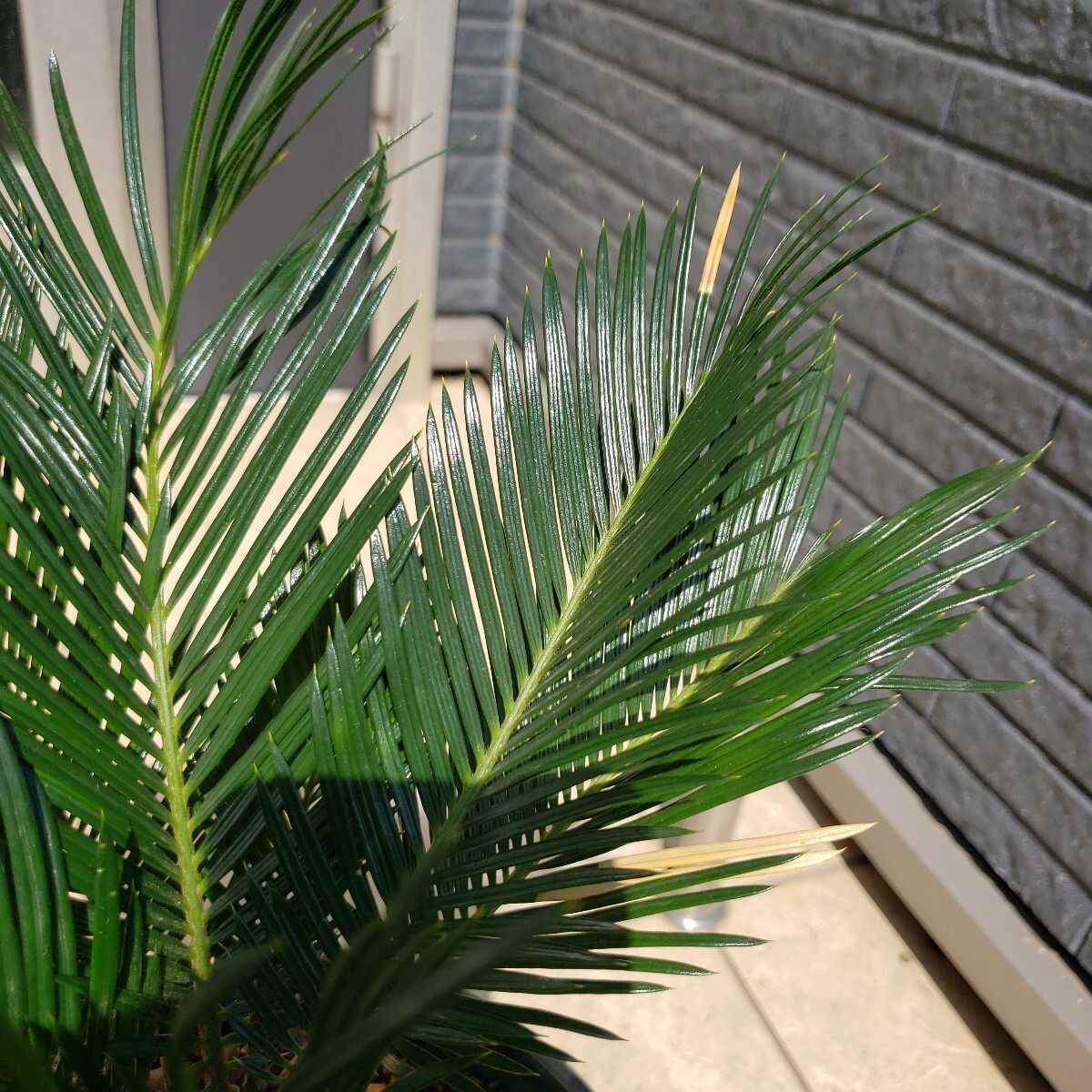 item_image_7