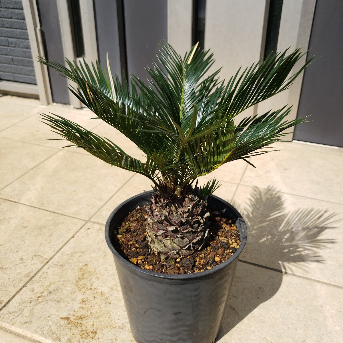 item_image_10