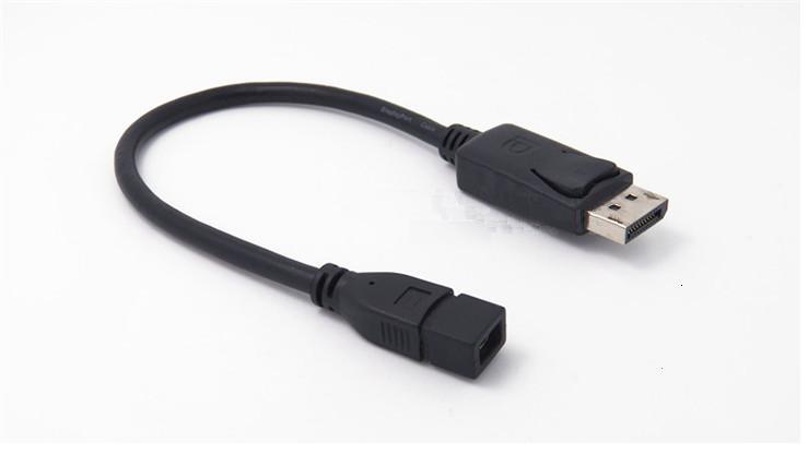 DisplayPort to Mini DisplayPort 変換ケーブル 変換アダプタ DP-Mini DP オス－メス 28cm