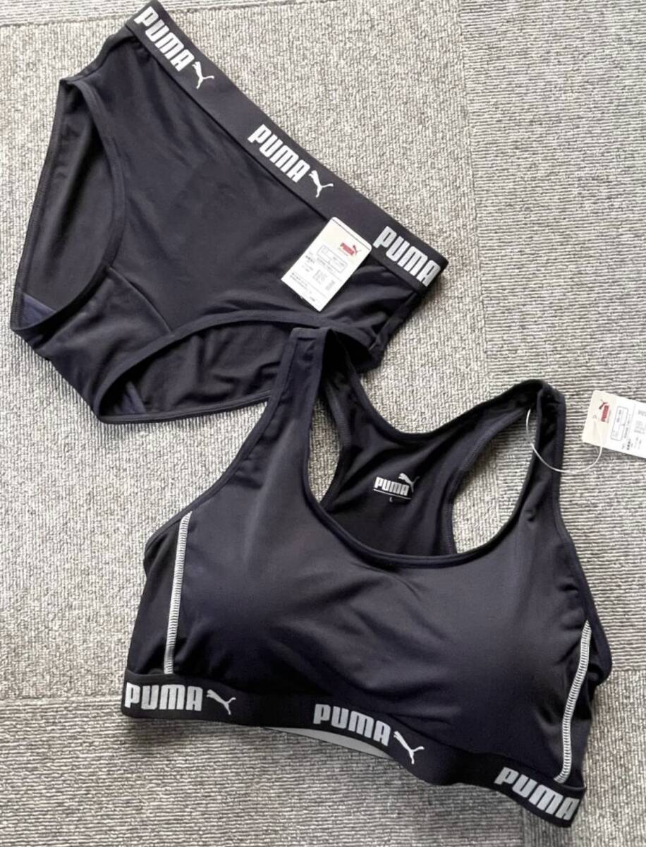 PUMA スポーツブラ ショーツ セット　ハーフトップ　Lサイズ　