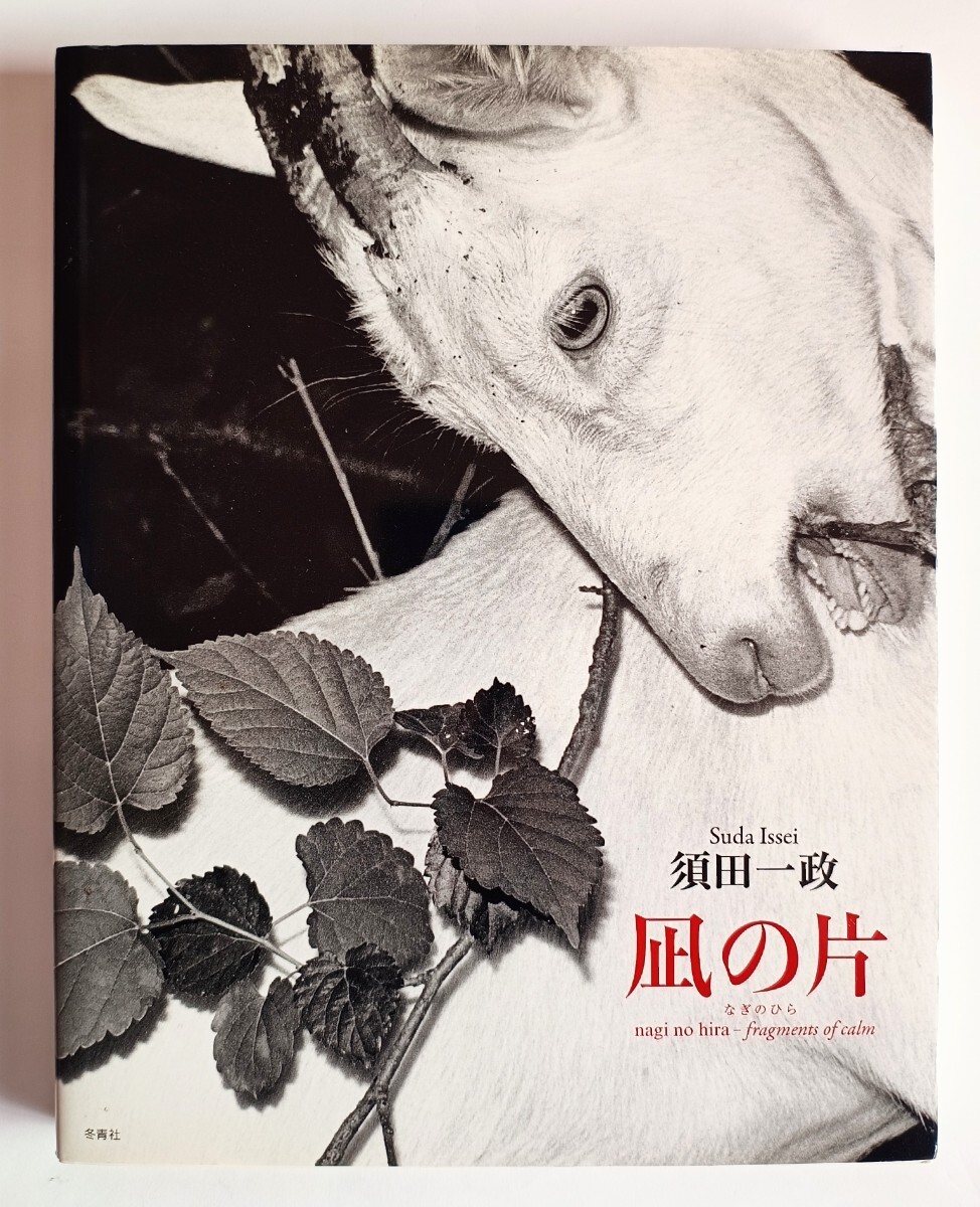 須田一政写真集　凪の片
