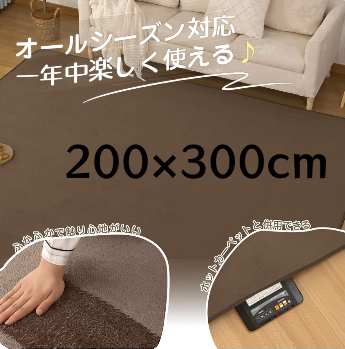 カーペット　ラグ　オールシーズン　ラグマット　滑り止め　洗える　新生活　200×300cm ブラウン