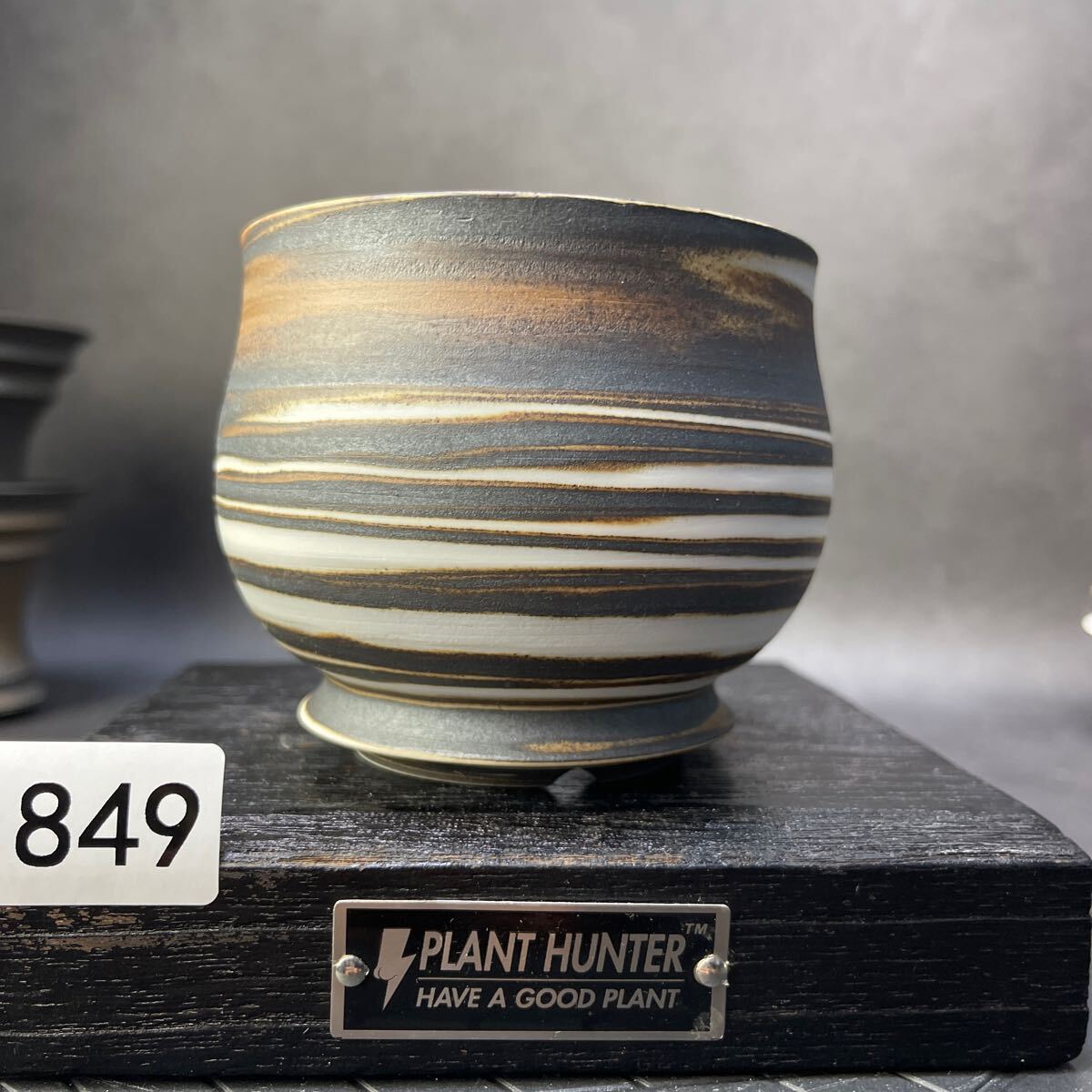 あ849 HAND Made 植木鉢 陶器検(アガベ パキプス 姫巌竜 帝釈天 あ849 HAND Made 植木鉢 陶器検(アガベ パキプス 姫巌竜 帝釈天