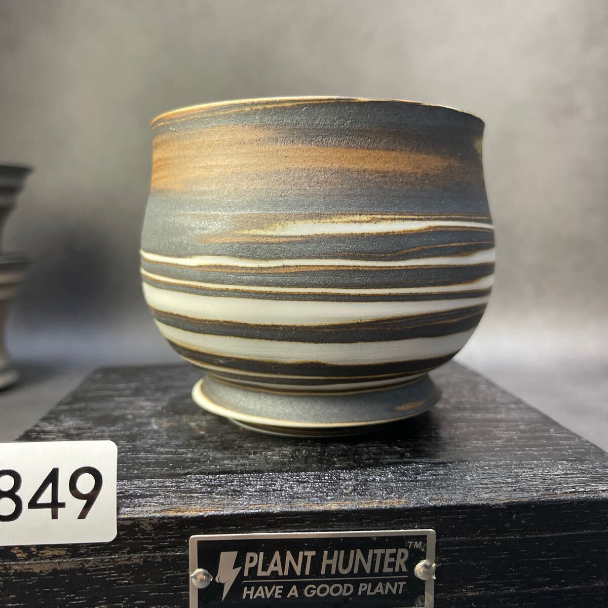 あ849 HAND Made 植木鉢 陶器検(アガベ パキプス 姫巌竜 帝釈天 あ849 HAND Made 植木鉢 陶器検(アガベ パキプス 姫巌竜 帝釈天