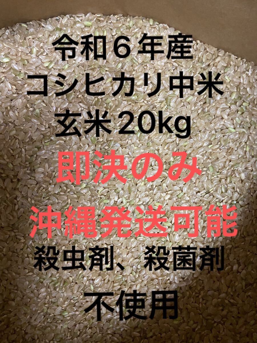 令和6年度 魚沼産コシヒカリ 殺虫剤 殺菌剤不使用 低農薬 中米 令和6年度 魚沼産コシヒカリ 殺虫剤 殺菌剤不使用 低農薬 中米