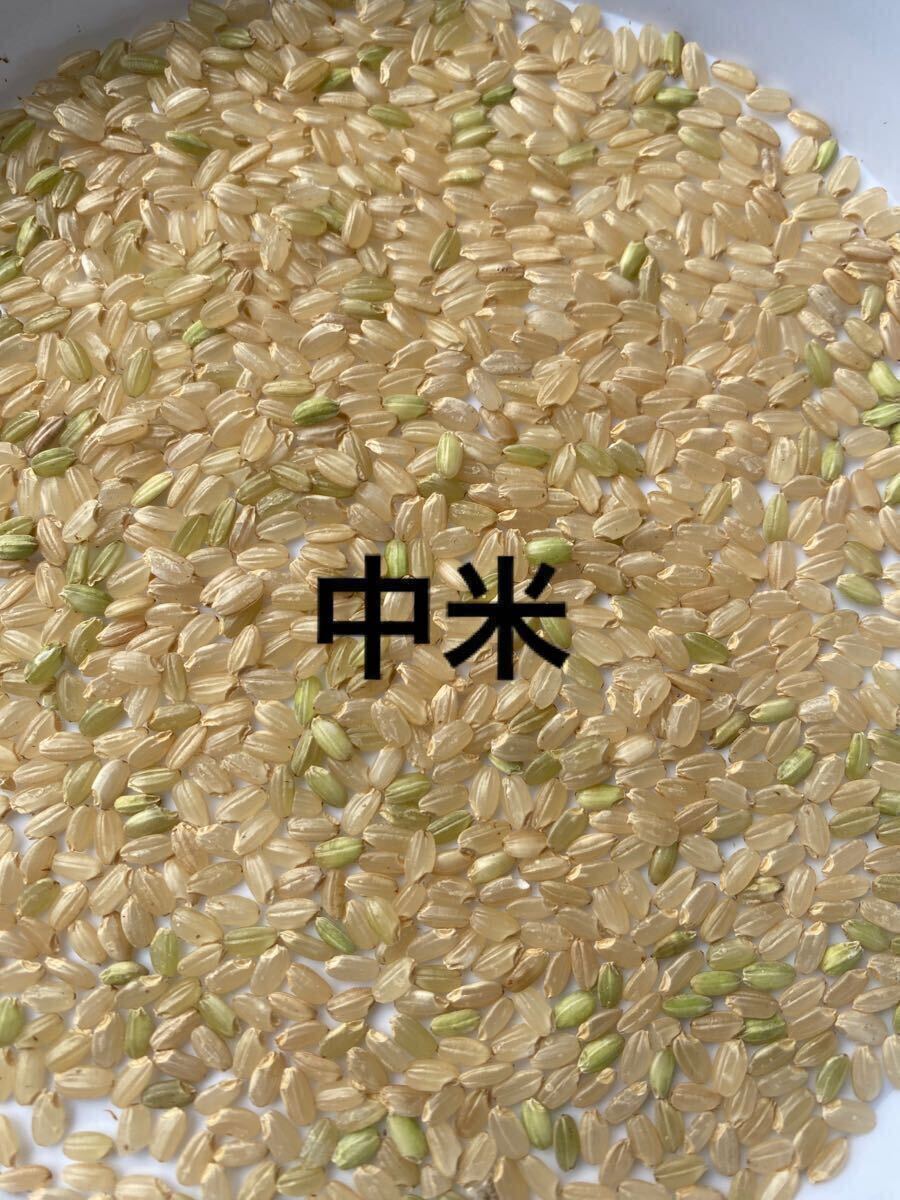 令和6年度 魚沼産コシヒカリ 殺虫剤 殺菌剤不使用 低農薬 中米 令和6年度 魚沼産コシヒカリ 殺虫剤 殺菌剤不使用 低農薬 中米
