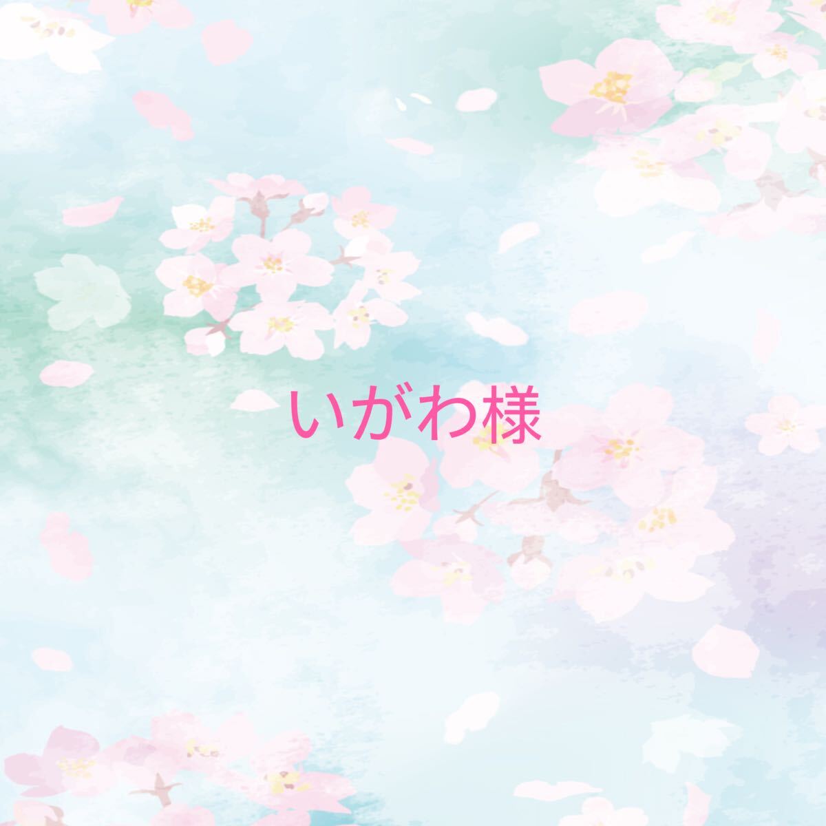 いがわ様3点セット