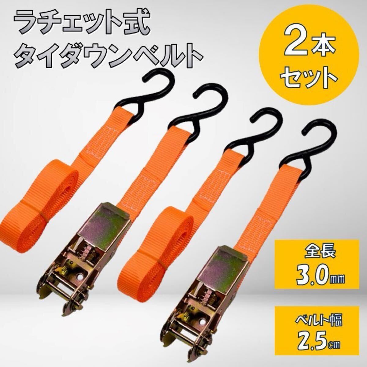 2本 3m タイダウンベルト ラチェット式 ラッシングベルト 2本 3m タイダウンベルト ラチェット式 ラッシングベルト