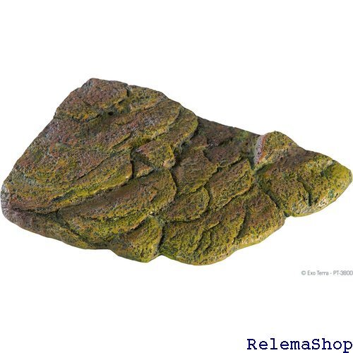 ekizo tera GEX EXOTERRAta-toru банк магнит тип вода ранг . сопоставив автоматически верх и низ вода .game для отходит остров 9550