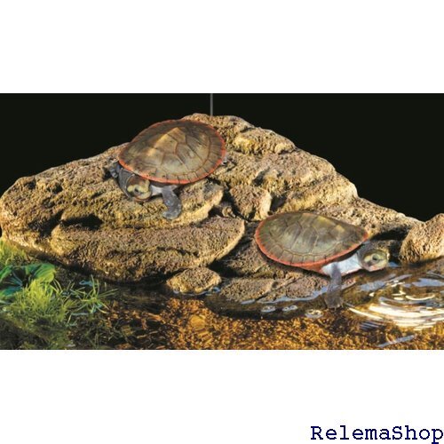 ekizo tera GEX EXOTERRAta-toru банк магнит тип вода ранг . сопоставив автоматически верх и низ вода .game для отходит остров 9550