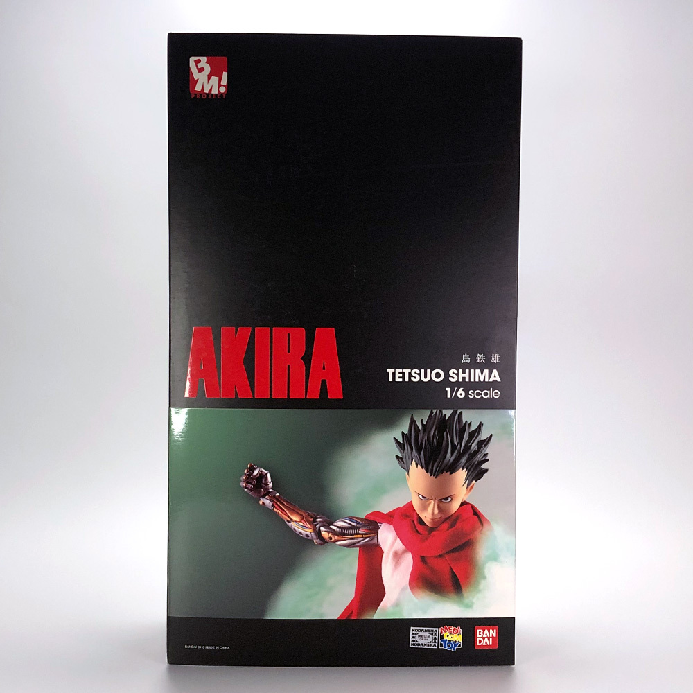 アキラ AKIRA 島鉄雄 1/6スケール PROJECT BM Yahoo!オークション - AKIRA アキラ【島鉄雄】PROJECT BM 1/6