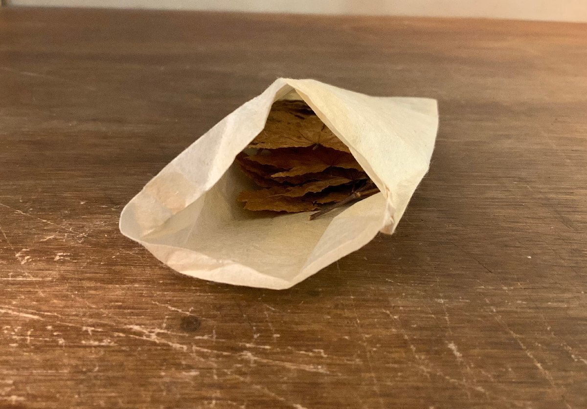 XX-1992 # включая доставку # Meiji 26 год Kyoto . клен хвост . изначальный person фиолетовый снег подлинный ... клен . источник храм . лист клен др. .. лист старинная книга старый документ /.YU.