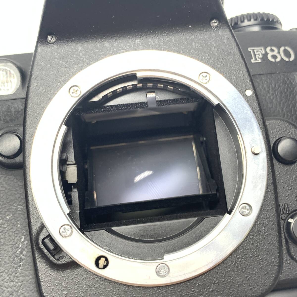 1円~ 6TA50100325 NIKON ニコン F80 フィルムカメラ バッテリー 1円~ 6TA50100325 NIKON ニコン F80 フィルムカメラ バッテリー