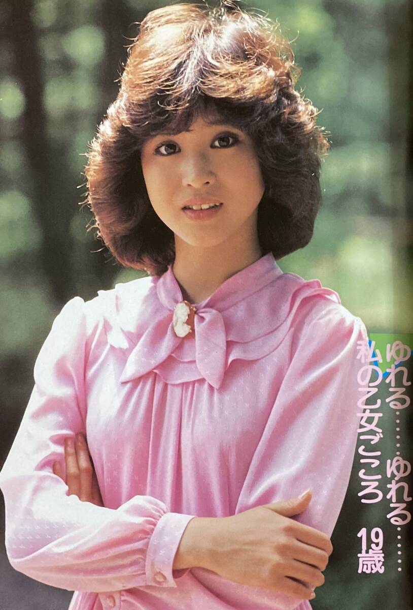 松田聖子写真集 SEIKO Photograph 別冊近代映画 / 古本、中古本