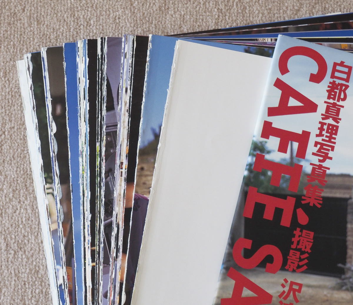 白都真理 「CAFFE SANTOS」寫真集 バラ スキャン用　