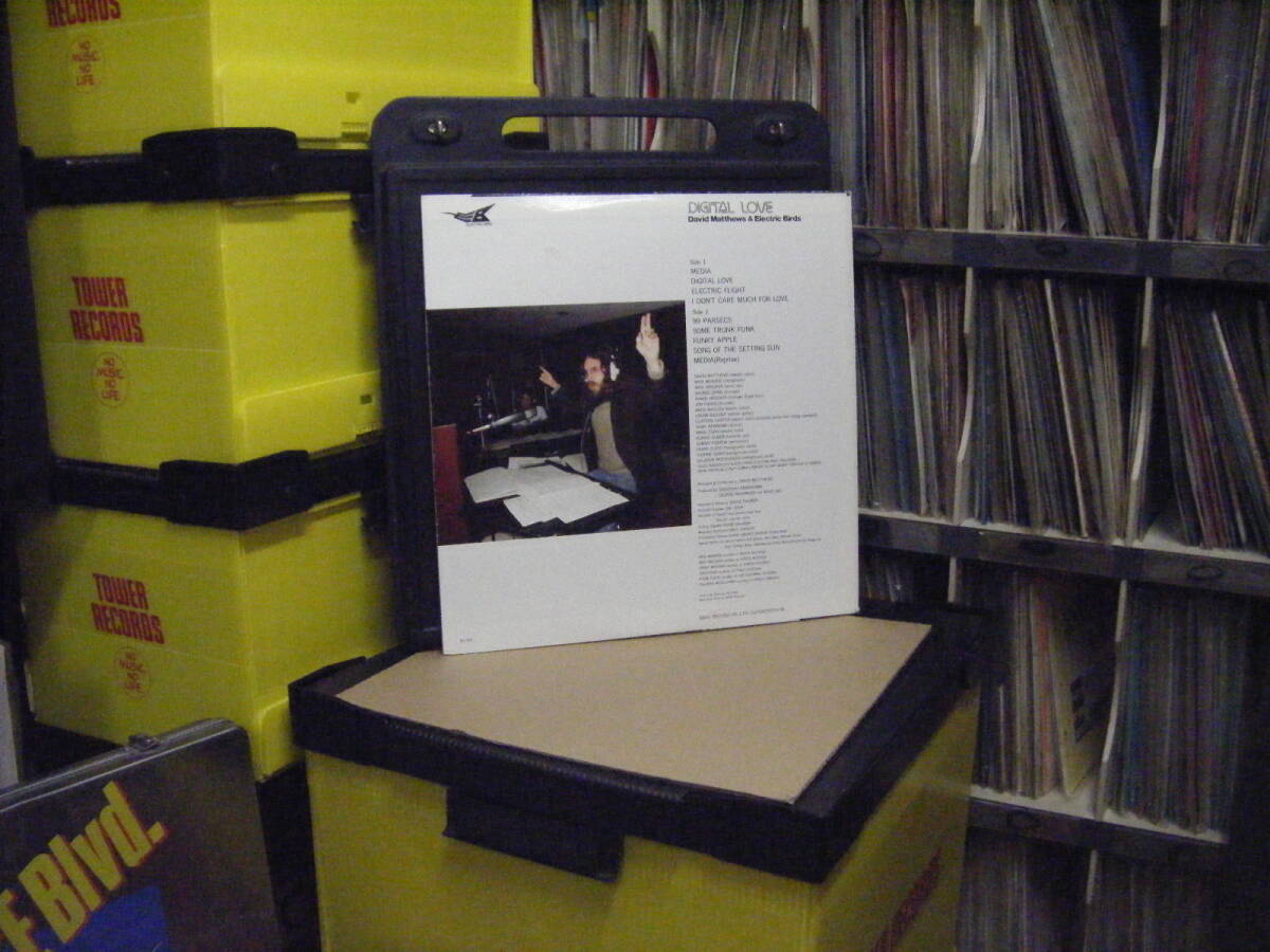G-119 David Matthews & Electric Birds / DIGITAL LOVE