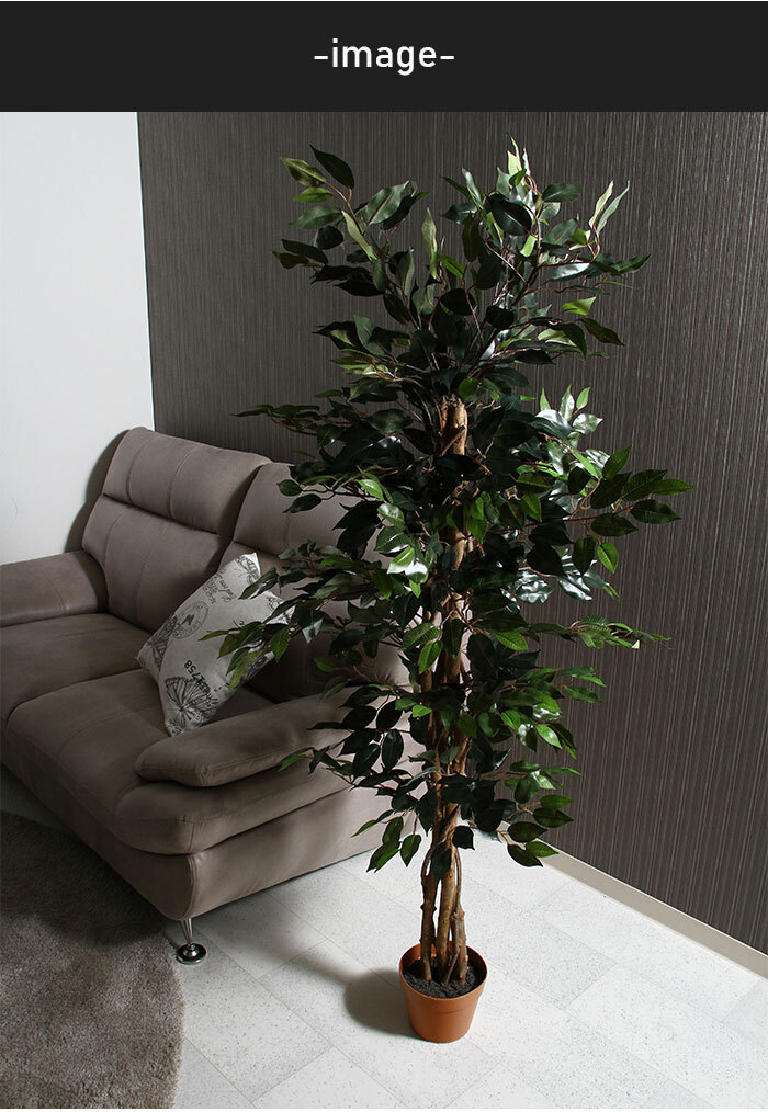 【値下げ】 観葉植物 人工 フェイクグリーン フィカス 高さ 150cm 6號鉢対応 造花 インテリア 目隠し M5-MGKFGB90090