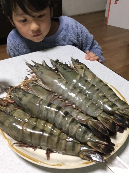 ☆^_^/即決は10本にします！★酒塩炒りに最適★巨大海老23cm 130gサイズ！×5本セット●串焼き用大海老　天ぷら！エビフライにもOK！