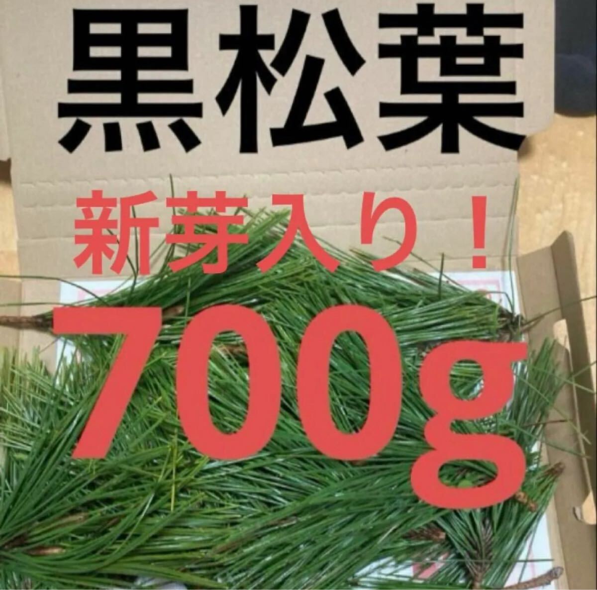  сосна. лист овощи Okayama префектура производство отправка в тот же день немедленно покупка возможность 