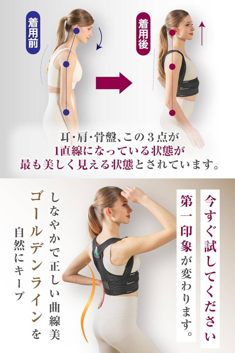 姿勢(shì)サポーター 姿勢(shì)ベルト 貓背ベルト 【整體師監(jiān)修×しっかり固定できて裝著時(shí)の脇への僧迫を軽減】 (L アンダーバスト（82～92cm)) 