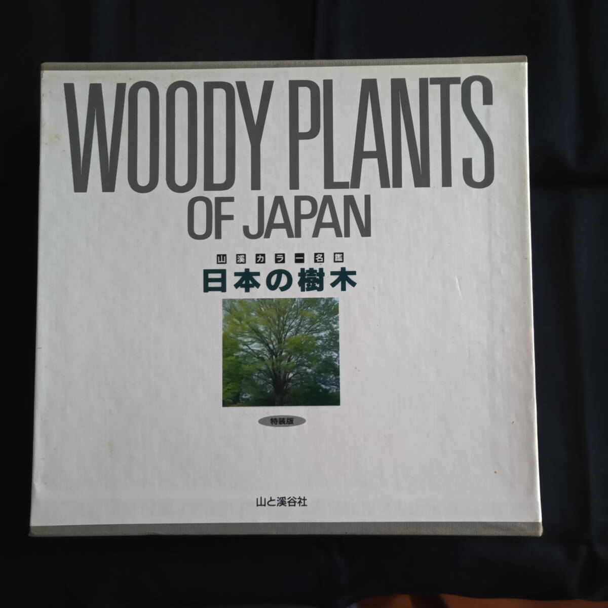 山渓カラー名鑑　日本の樹木　特装版　_画像1