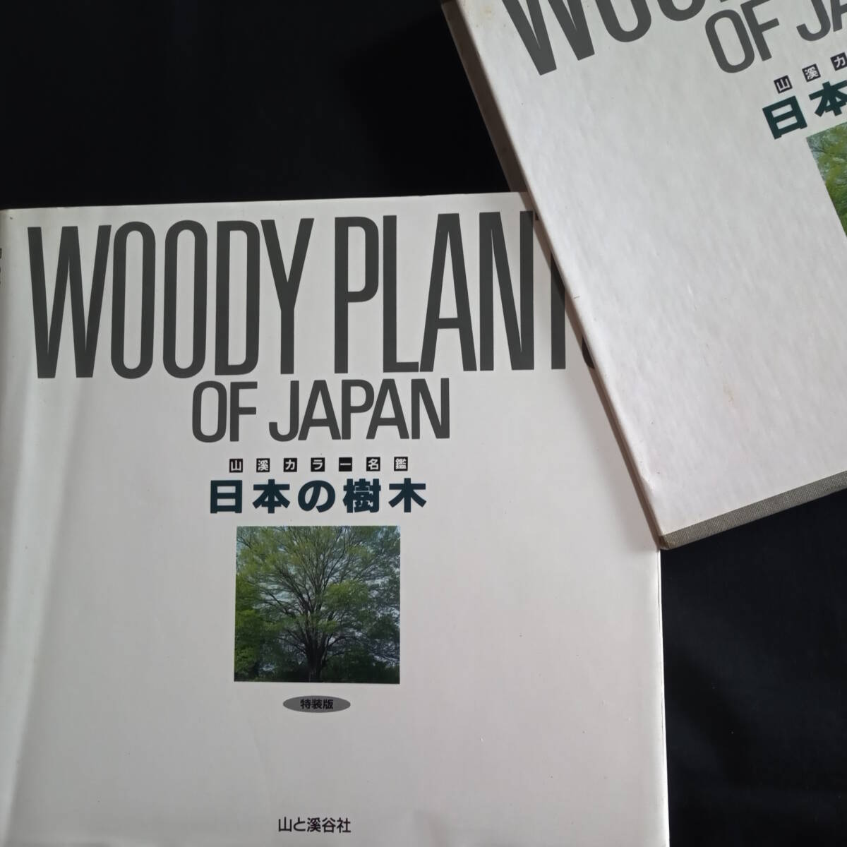 山渓カラー名鑑　日本の樹木　特装版　_画像2