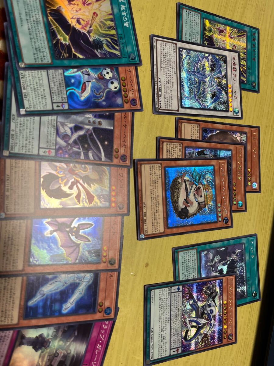 遊戯王 25PP 閉ザサレシ天ノ月 サロスナンナ 赤シク2枚とその他 遊戯王 25PP 閉ザサレシ天ノ月 サロスナンナ 赤シク2枚とその他