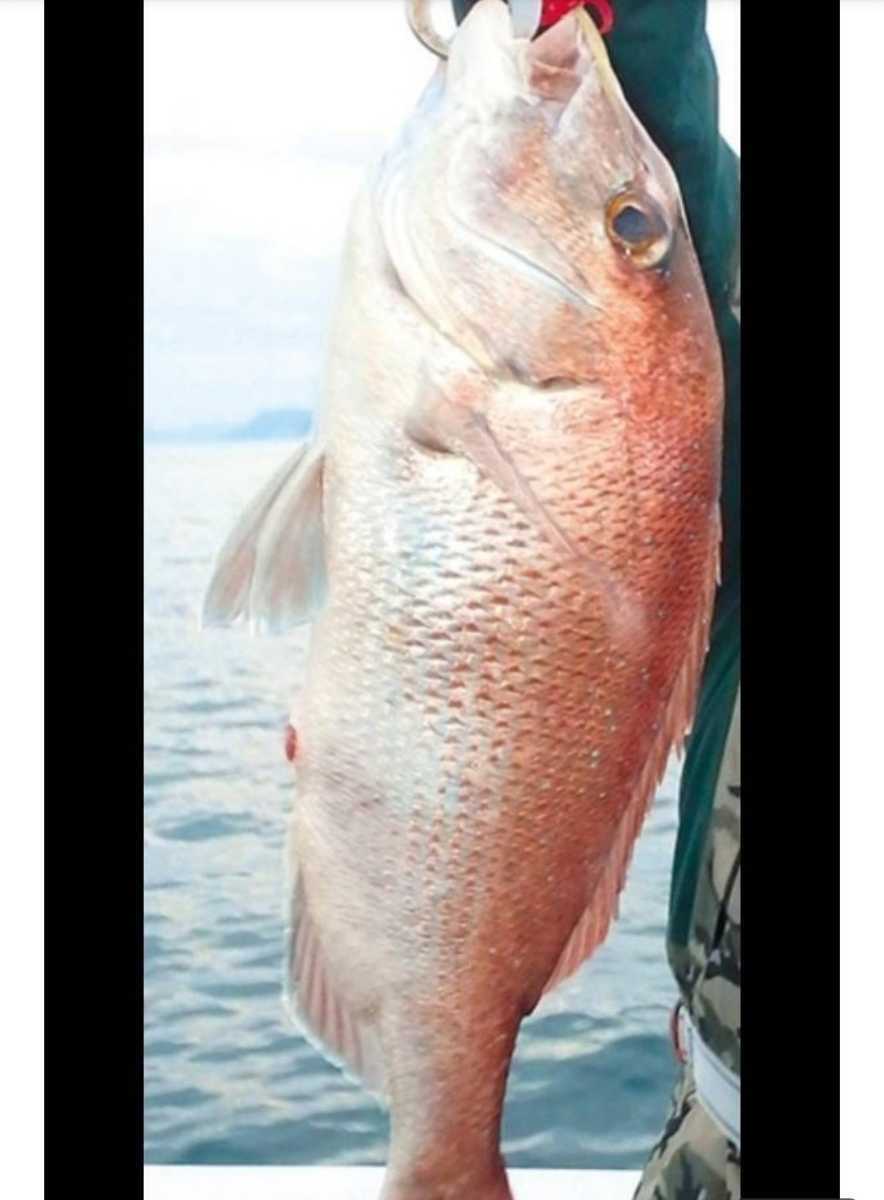 item_image_8