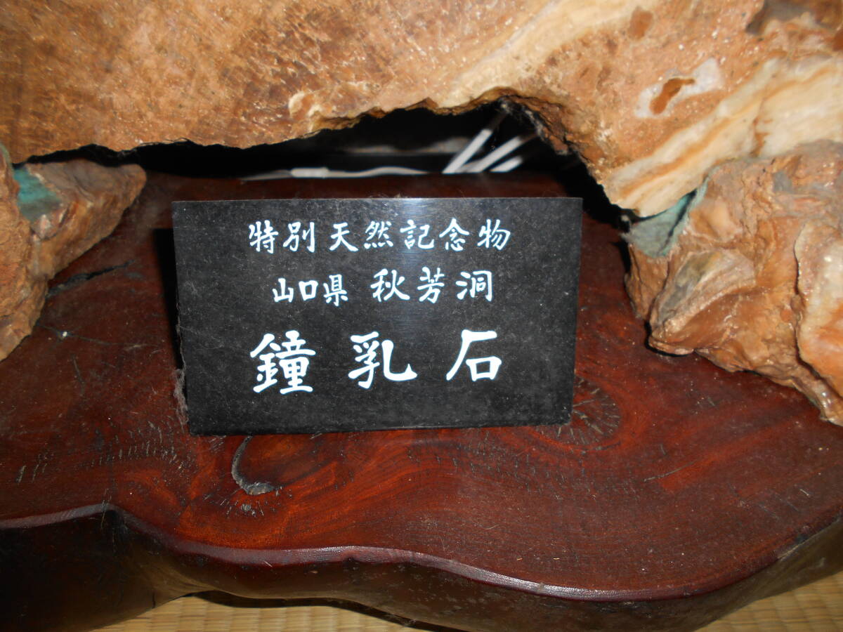 鍾乳石 台座付き(特別天然記念物)山口県 秋芳洞(原石)|売買 鍾乳石 台座付き(特別天然記念物)山口県 秋芳洞(原石)|売買