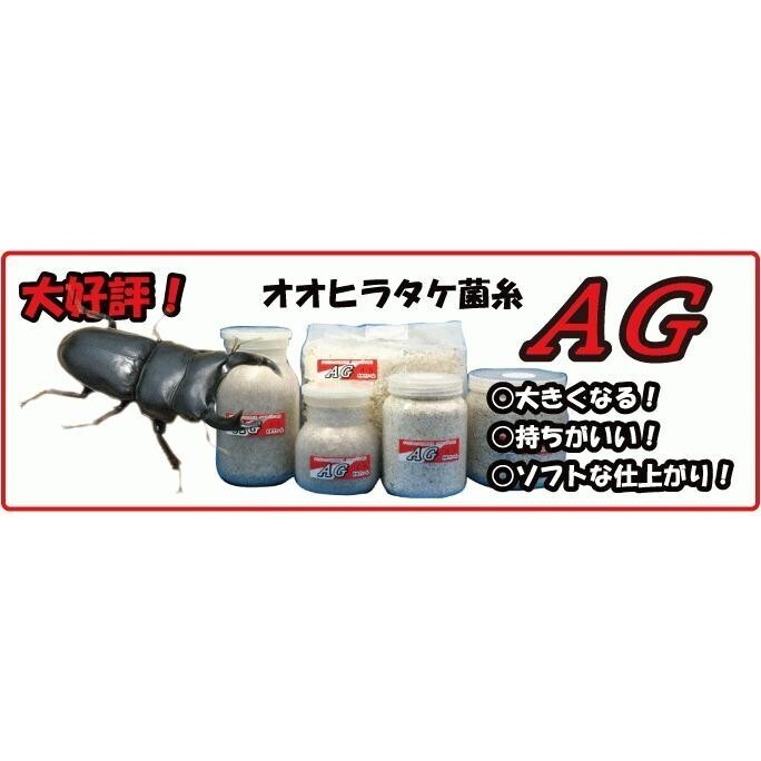 AGブロック（ブナ粗め）3500cc×５個セット