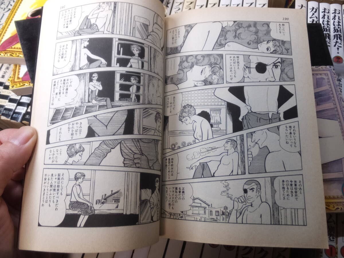 手塚治虫漫画全集 !213冊!大量一括!ブッダ!火の鳥!鉄腕 手塚治虫漫画全集 !213冊!大量一括!ブッダ!火の鳥!鉄腕