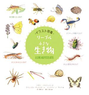 イラスト図鑑リーブル「小さな生き物」/ナタリー?トルジュマン(著者),河清美(訳者),盛口満(監(jiān)修