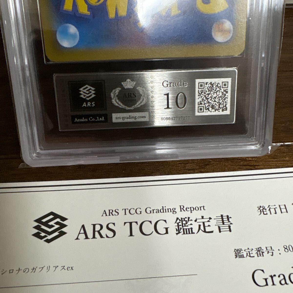 ARS10鑑定評価】熱風のアリーナ シロナのガブリアスex SAR 鑑定 ARS10鑑定評価】熱風のアリーナ シロナのガブリアスex SAR 鑑定