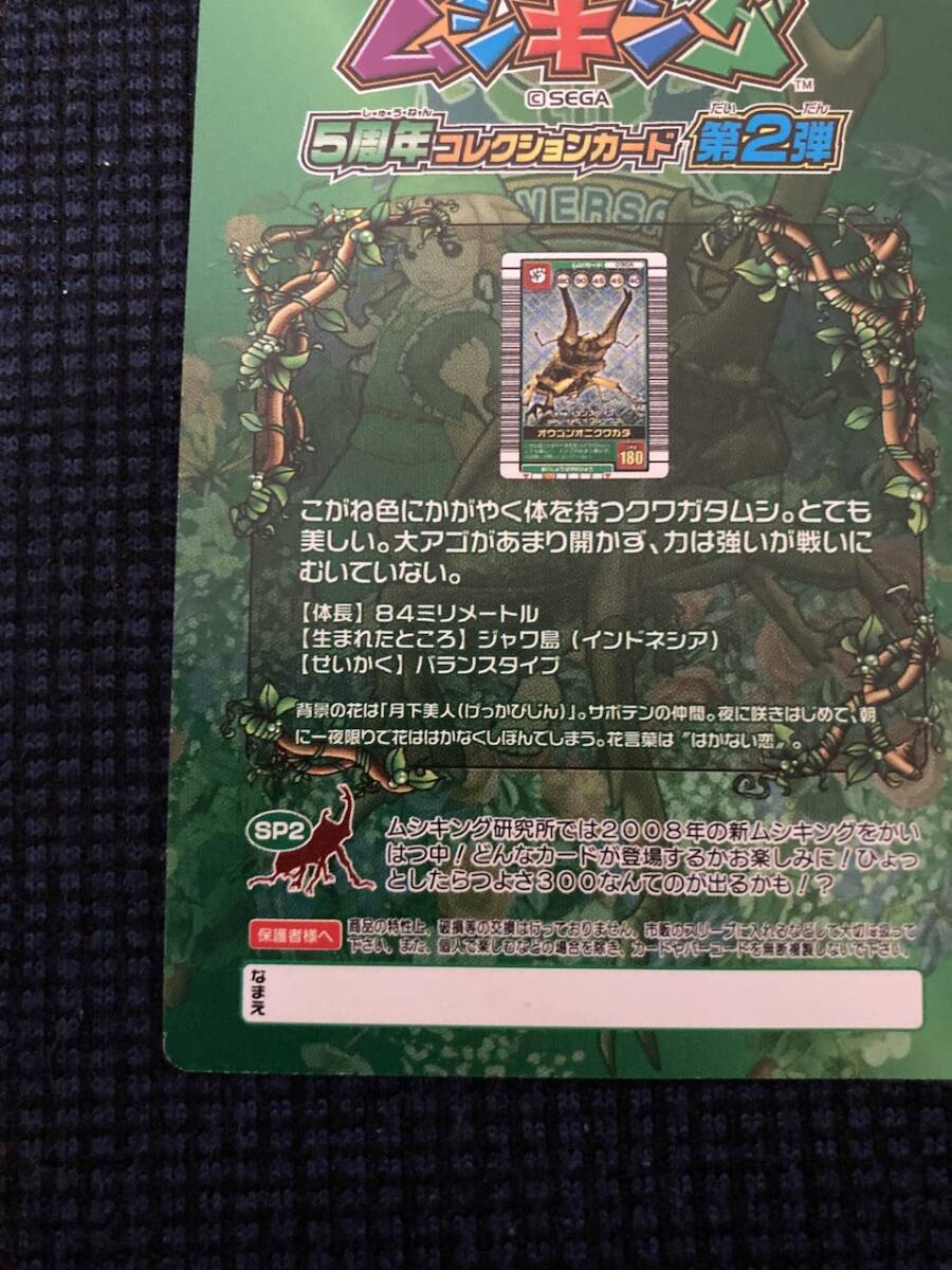 ムシキング5周年コレクションカード第２弾 甲虫王者ムシキング5周年 コレクションカード第2弾 アクティオン