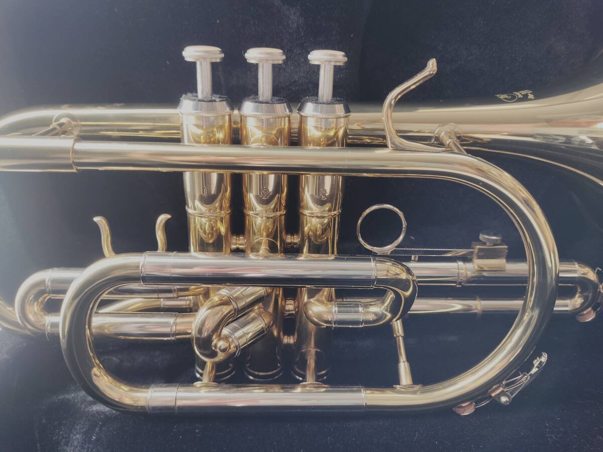 コルネット JYCO-E100G 金音楽器 未使用品 Yahoo!オークション - コルネット JYCO-E100G 金音楽器 未使用品