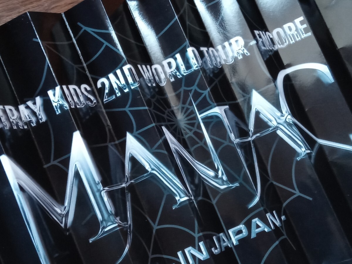 ☆希少！STRAY KIDS クラッパー ライブグッズ 良品！☆
