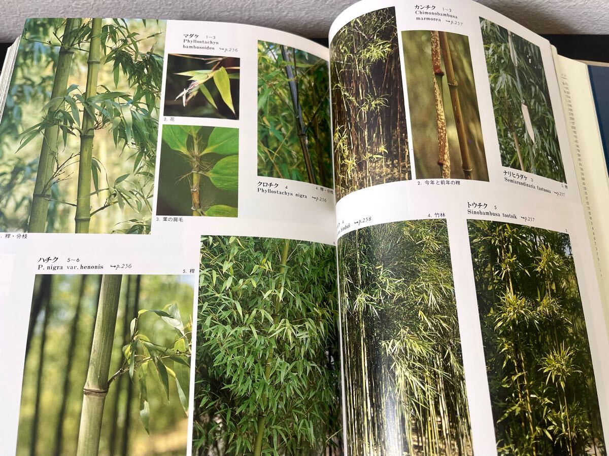 clo◎日本の野生植物 木本Ⅰ・Ⅱ 全2巻 外函付 平凡社/1993年/編 clo◎日本の野生植物 木本Ⅰ・Ⅱ 全2巻 外函付 平凡社/1993年/編