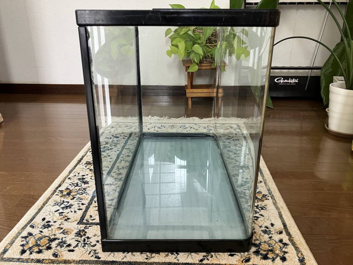 NISSO ニッソー ガラス水槽 曲げガラス水槽 スティングレー 60cm
