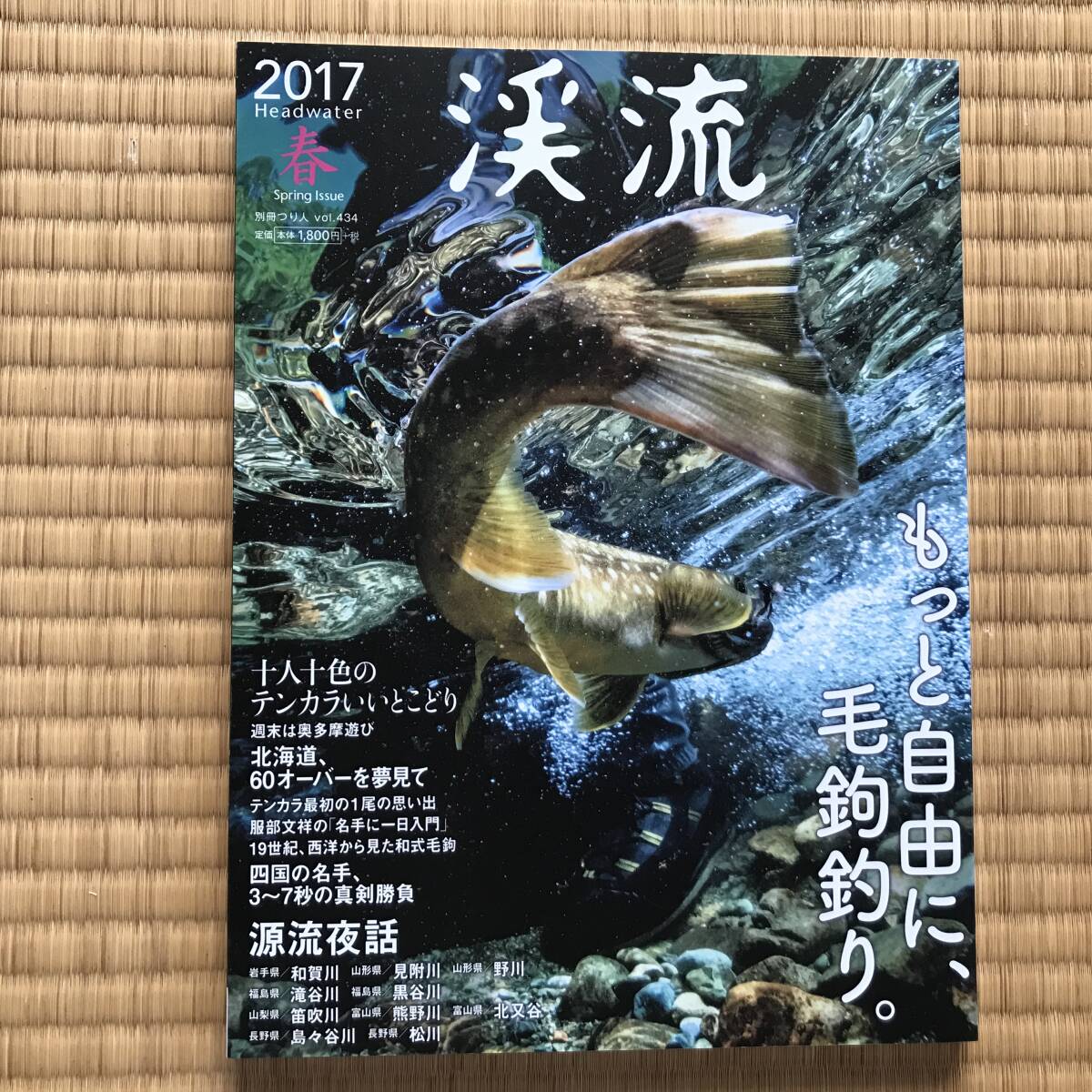 【送料込】渓流　2017春　もっと自由に、毛鉤釣り。_画像1