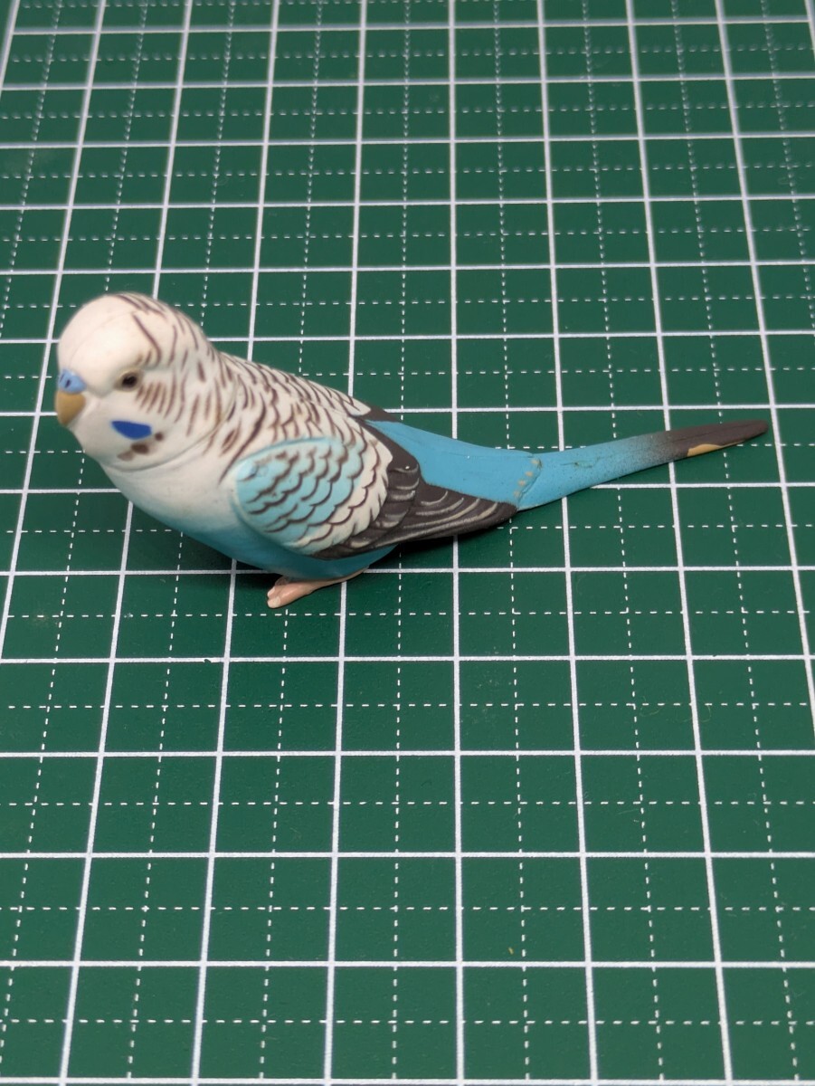 ☆ フィギュア セキセイインコ ブルー インコ 鳥 ペット 海洋堂 ☆ フィギュア セキセイインコ ブルー インコ 鳥 ペット 海洋堂