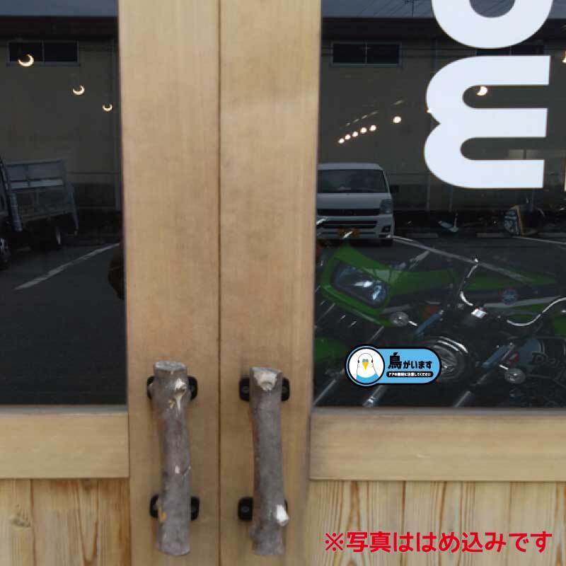 鳥がいますステッカー セキセイインコ 9cm オパーリン ブルー インコ_画像4