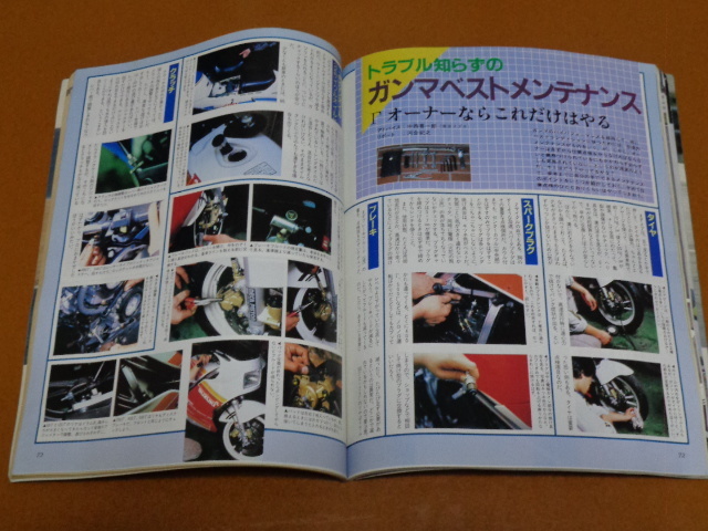 ガンマ、RG500Γ、RG400Γ、RG250Γ、RG 125Γ 50Γ、メンテナンス 整備、パーツリスト、パーツカタログ、水谷勝、2ストローク レーサー