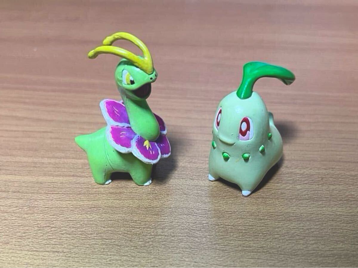 モンコレチコリータベイリーフ未開封