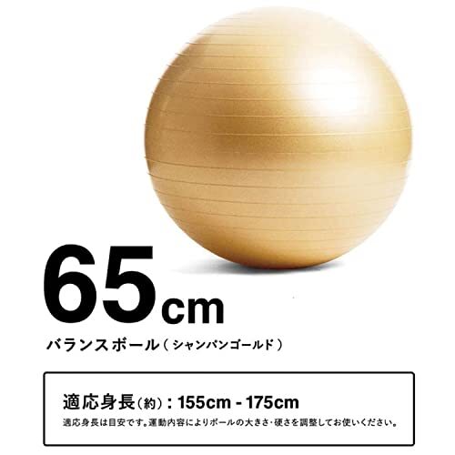 La-VIE(ラヴィ) バランスボル 65cm シャンパンゴルド 空気入れ付き 3B-4131 メカ純正品_画像2