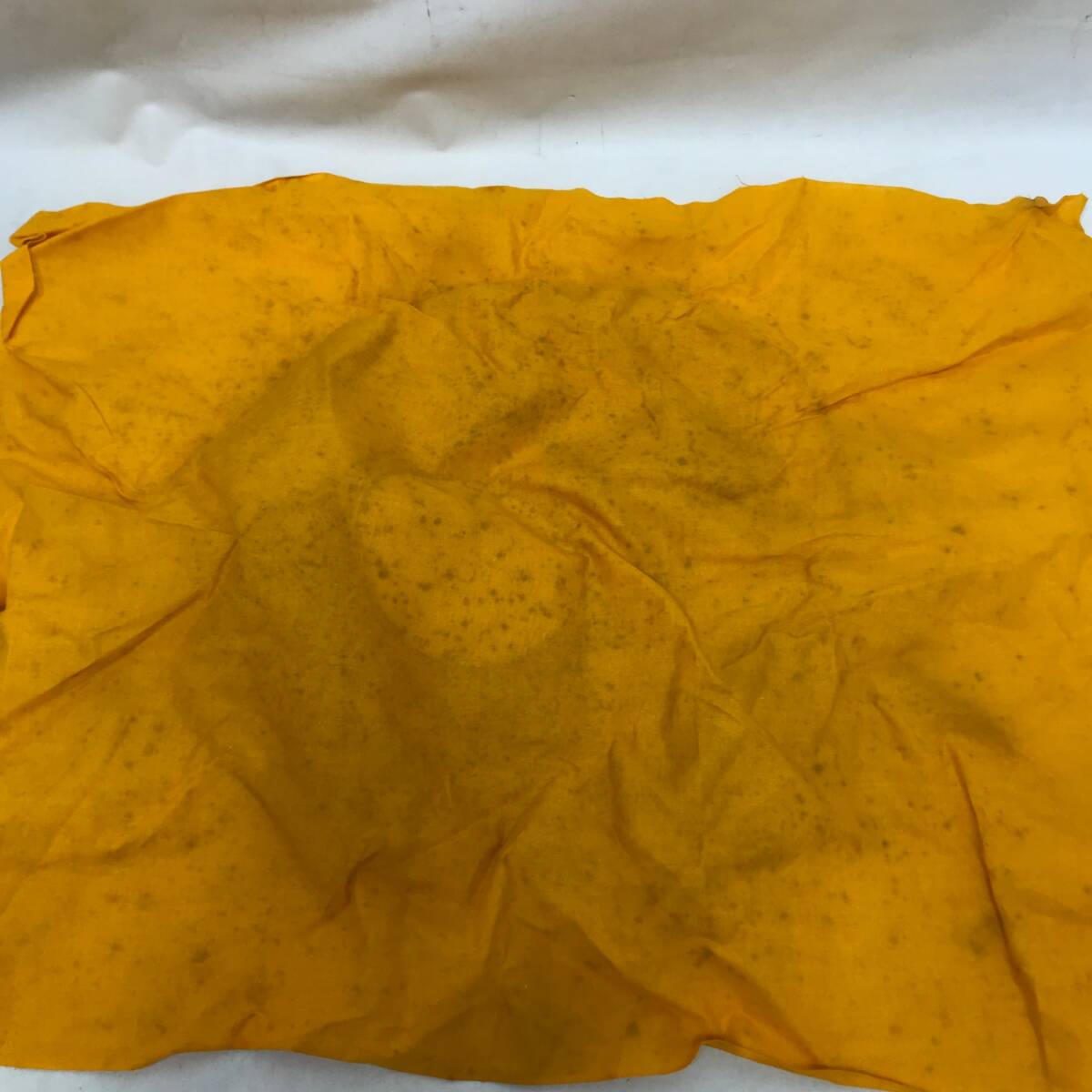 0660 香蘭社 染錦模様 菓子器 磁藝工房謹製 染錦 共箱 和食器 深 0660 香蘭社 染錦模様 菓子器 磁藝工房謹製 染錦 共箱 和食器 深