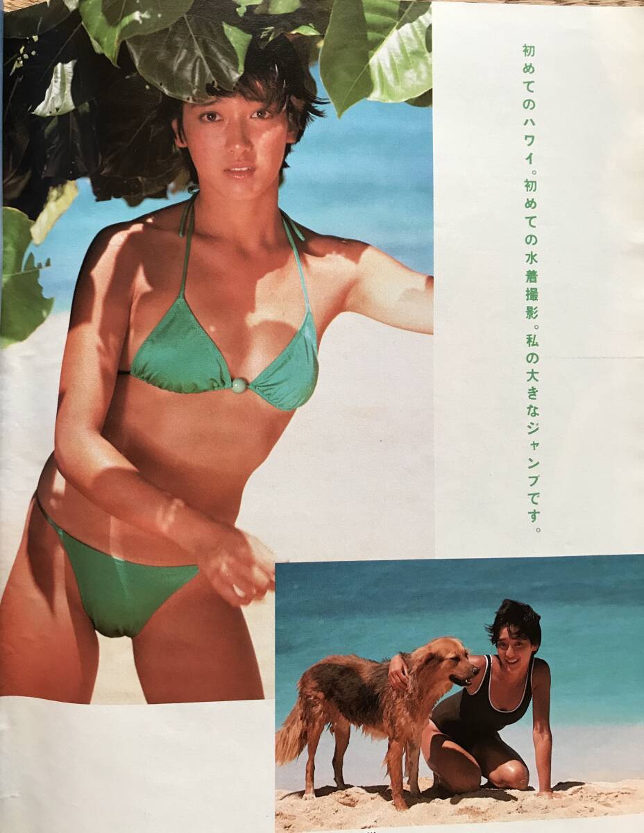 週刊プレイボーイ 1984年昭和59年10月16日号No.43 川上麻衣子 週刊プレイボーイ 1984年昭和59年10月16日号No.43 川上麻衣子