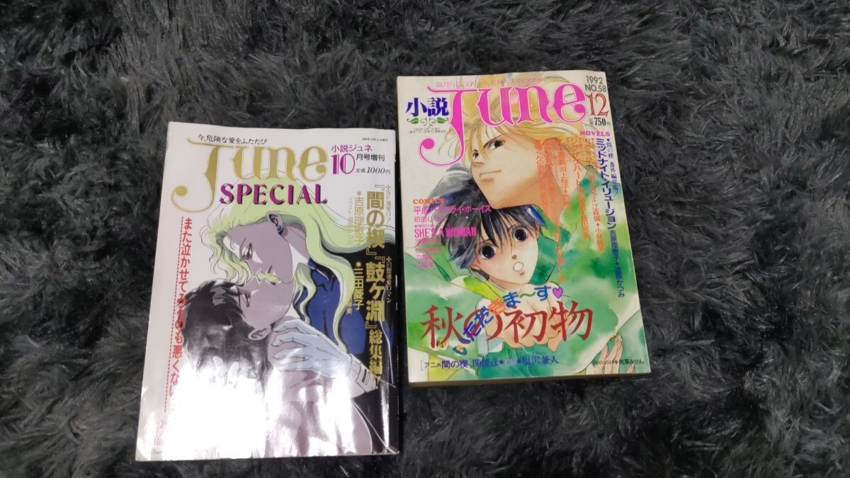 小説june ジュネ 2冊 まとめ売り 雑誌 Yahoo!オークション - 小説 June 2冊 89年10月号増刊92年