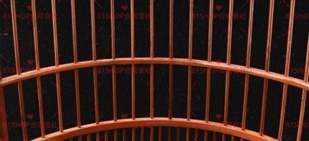 [81SHOP] бамбук производства птица . высококлассный товар принадлежности полный комплект птица .. ручная работа предмет 