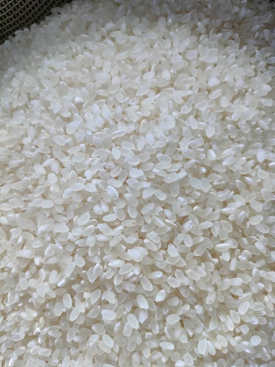 エスコ(ESCO) 24x27mm 両口スパナ(ノンスパーキング/強力型) EA643BC-6 エスコ(ESCO) 24x27mm 両口スパナ(ノンスパーキング/強力型) EA643BC-6